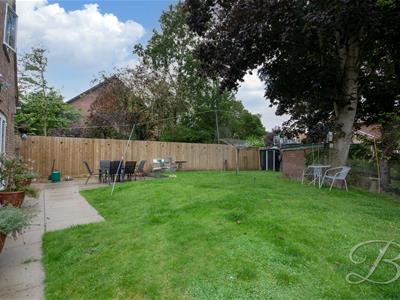 Picture 38